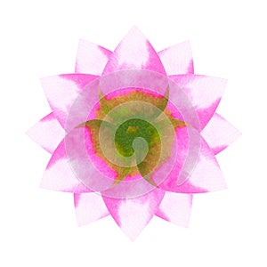 Lotus chakra mandala logo symbol concept pink green flower floral leaf watercolor painting icon illustration design sign