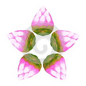 Lotus chakra mandala logo symbol concept pink green flower floral leaf watercolor painting icon illustration design sign