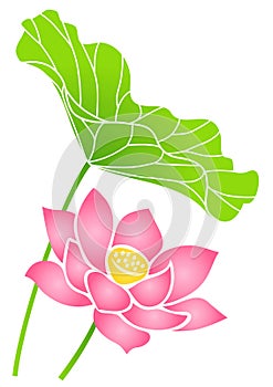 Lotus flower