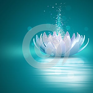 Lotus flower