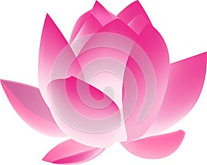 Lotus flower