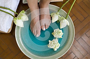 Lotus flower aromatherapy spa for feet 2