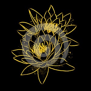 Lotus flower chalk color