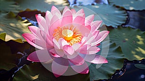 Lotus flower closeup. Generative AI