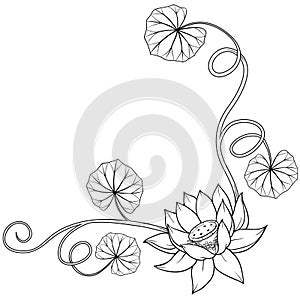 Lotus flower curly frame corner with leaves