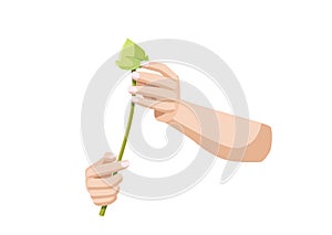 Lotus flower fresh in human hand two and isolated on white background illustration vector