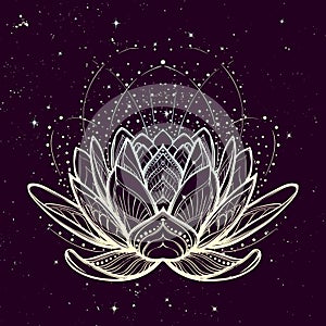 Lotus flower. Intricate stylized linear drawing on starry nignt sky background.