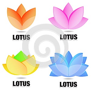 Lotus flower logo