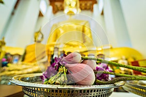 Lotus flower and other flower assortment on golden tray for Buddhism worship. Selective focus, blur background