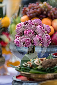 Lotus flower for pay homage to a buddha. water lily for paying respect in Buddhist Holy Day