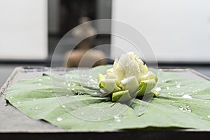 Lotus flower for praying Buddha statue