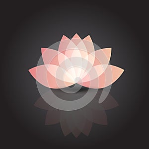 Lotus flower reflections logo vector