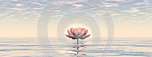 Lotus flower by sunset - 3D render