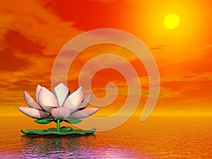 Lotus flower by sunset - 3D render