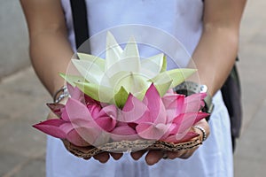 Lotus flower in tourist`s hand at Sri Dalada Maligawa or the Temple of the Sacred Tooth Relic is a Buddhist temple famous place