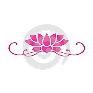 Lotus Flower Vector