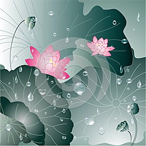 Lotus flower and water drop background