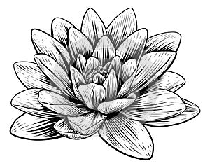 Lotus Flower Water Lily Vintage Woodcut Etching