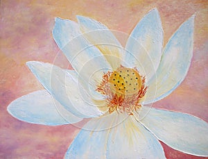 Lotus flower in white and peach oil hand painting.