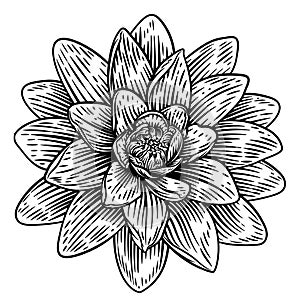 Lotus Flower Woodcut Water Lilly Engraved Etching