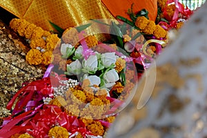 The lotus flower is worshiped by the Lord Buddha.