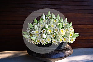 Lotus Flowers in Arrangement. Asian artful flower decoration. Lots of folded white blooming lotus flowers and buds in vase.