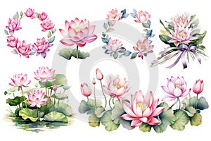 Lotus Flowers big Set. Hand drawn watercolor illustration of tropical pink waterlily and green leaves on isolated