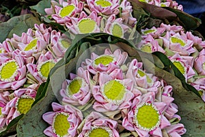 Lotus flowers Buddhism bouquets