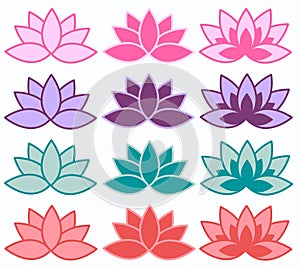 Lotus flowers in different colours