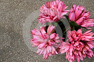 Lotus flowers for sale near Bich Dong Pagoda, Vietnam