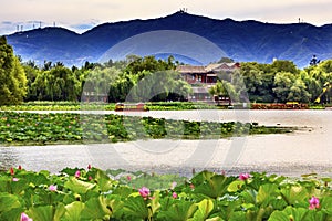 Lotus Garden Boat Summer Palace Beijing China