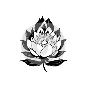 Lotus Icon hand draw black colour international yoga day logo symbol perfect