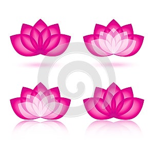 Lotus icon and logo design