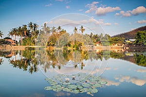 Lotus Lagoon, Candidasa, Bali island photo