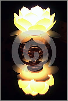 Lotus Lamp