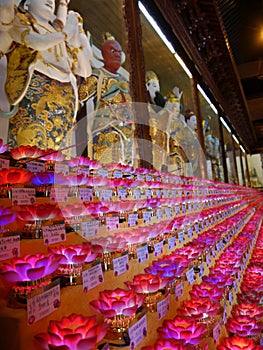 Lotus lamps at Longhua Temple