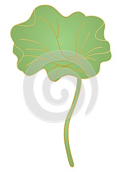 Lotus leaf in oriental style. Chinese and japanese traditional illustration.