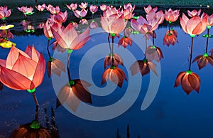 Lotus light in pond