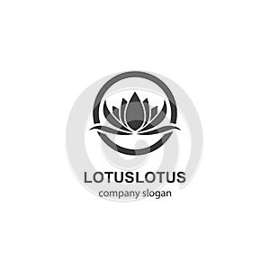 Lotus logo template vector icon