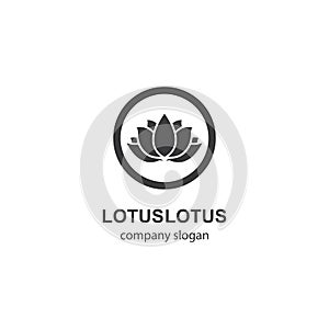 Lotus logo template vector icon