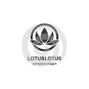 Lotus logo template vector icon