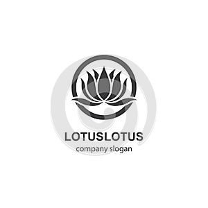 Lotus logo template vector icon