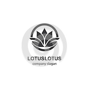 Lotus logo template vector icon