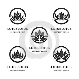 Lotus logo template vector icon