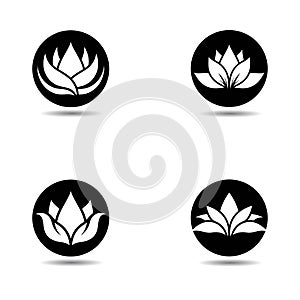 Lotus logo template vector icon