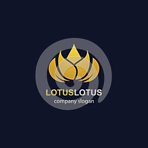 Lotus logo template vector icon