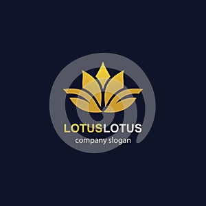 Lotus logo template vector icon