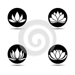Lotus logo template vector icon