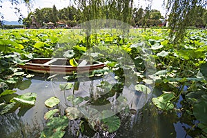 Lotus with long tail boat