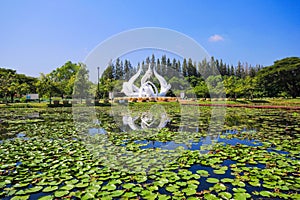 Lotus park, Sakon Nakon, Thailand